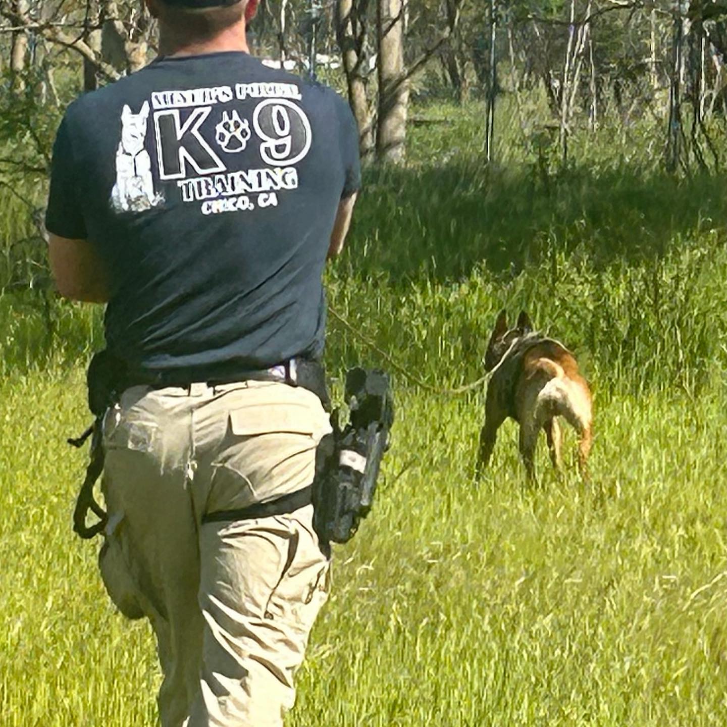 California Police Dog Training